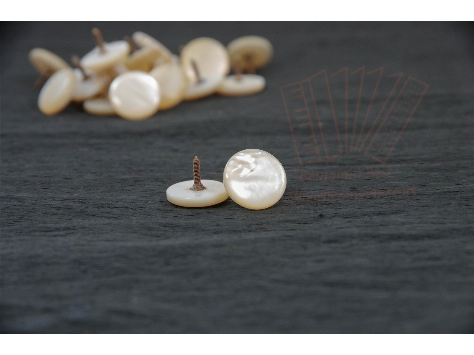 Diskantknopf 15,8 mm Perlmutt gebraucht weiß glatt Diskantknopf 15,8 mm Perlmutt gebraucht weiß glatt