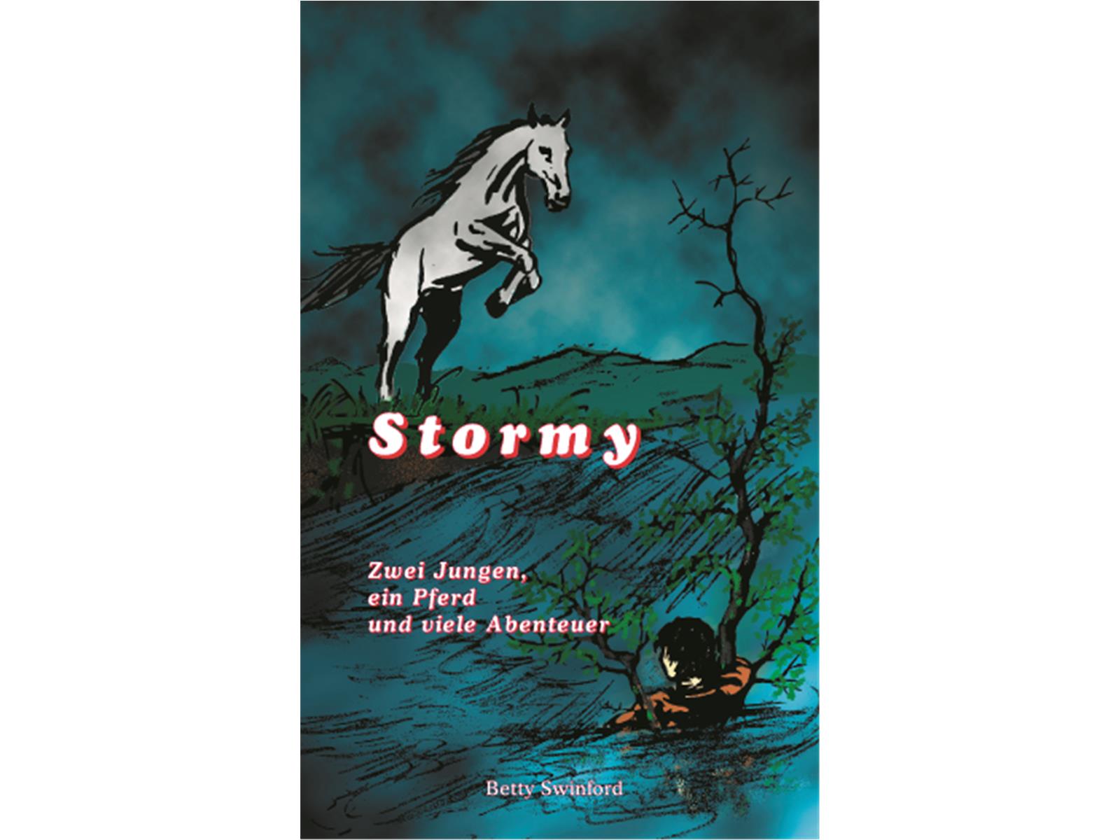 Stormy, Swinford - Buch