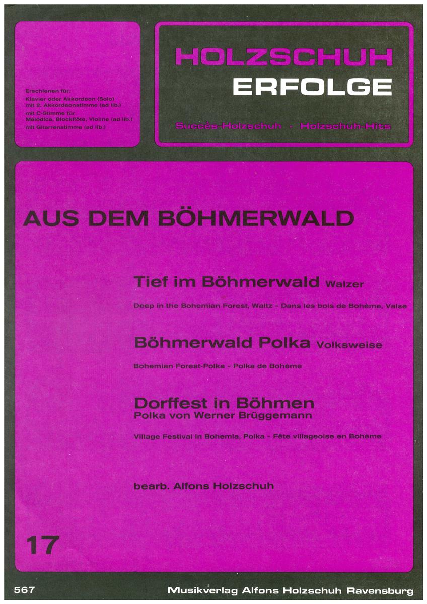 Holzschuh Erfolge 17 , Böhmerwald - Antiquariat