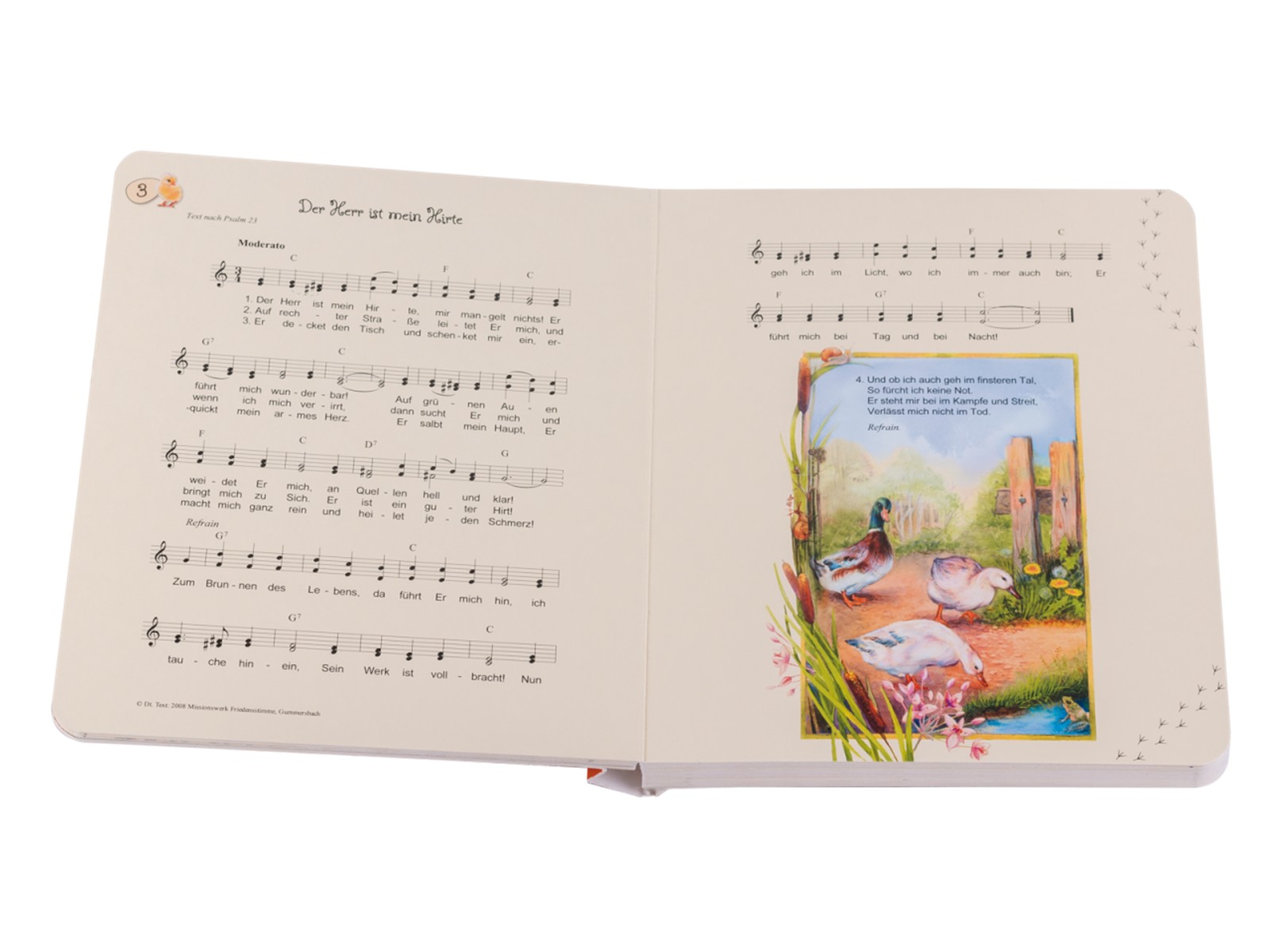 Pappbuch - Behütet Pappbuch - Behütet