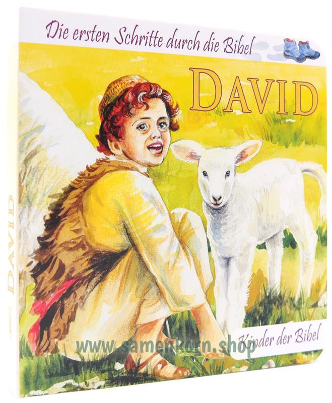 David - Kinder der Bibel Pappbuch David - Kinder der Bibel Pappbuch