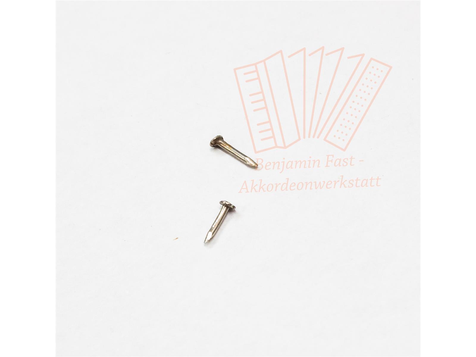 Nägel für Weltmeister-Schriftzüge gebraucht Nägel für Weltmeister-Schriftzüge gebraucht