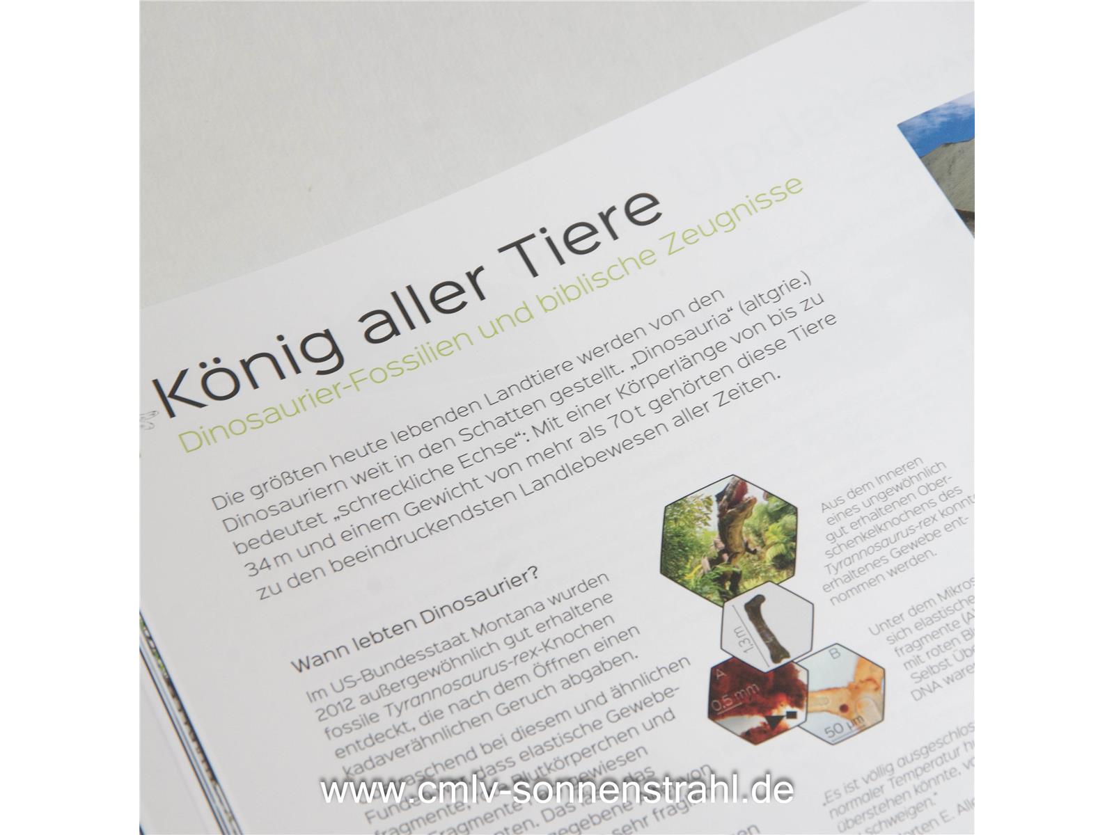 Auf den Spuren des Unsichtbaren Auf den Spuren des Unsichtbaren