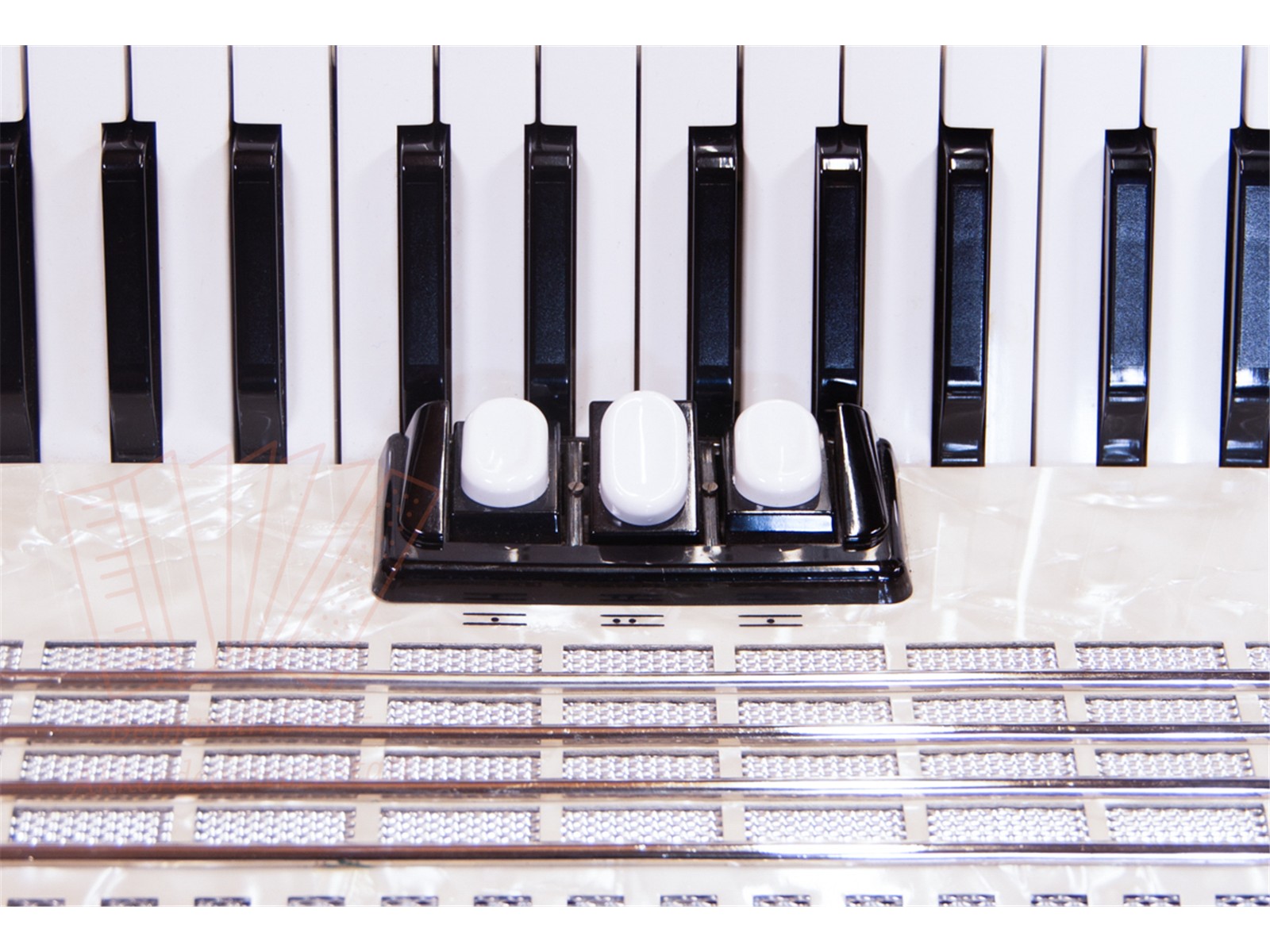 Akkordeon Walther Teeny 48 weiß gebraucht Akkordeon Walther Teeny 48 weiß gebraucht