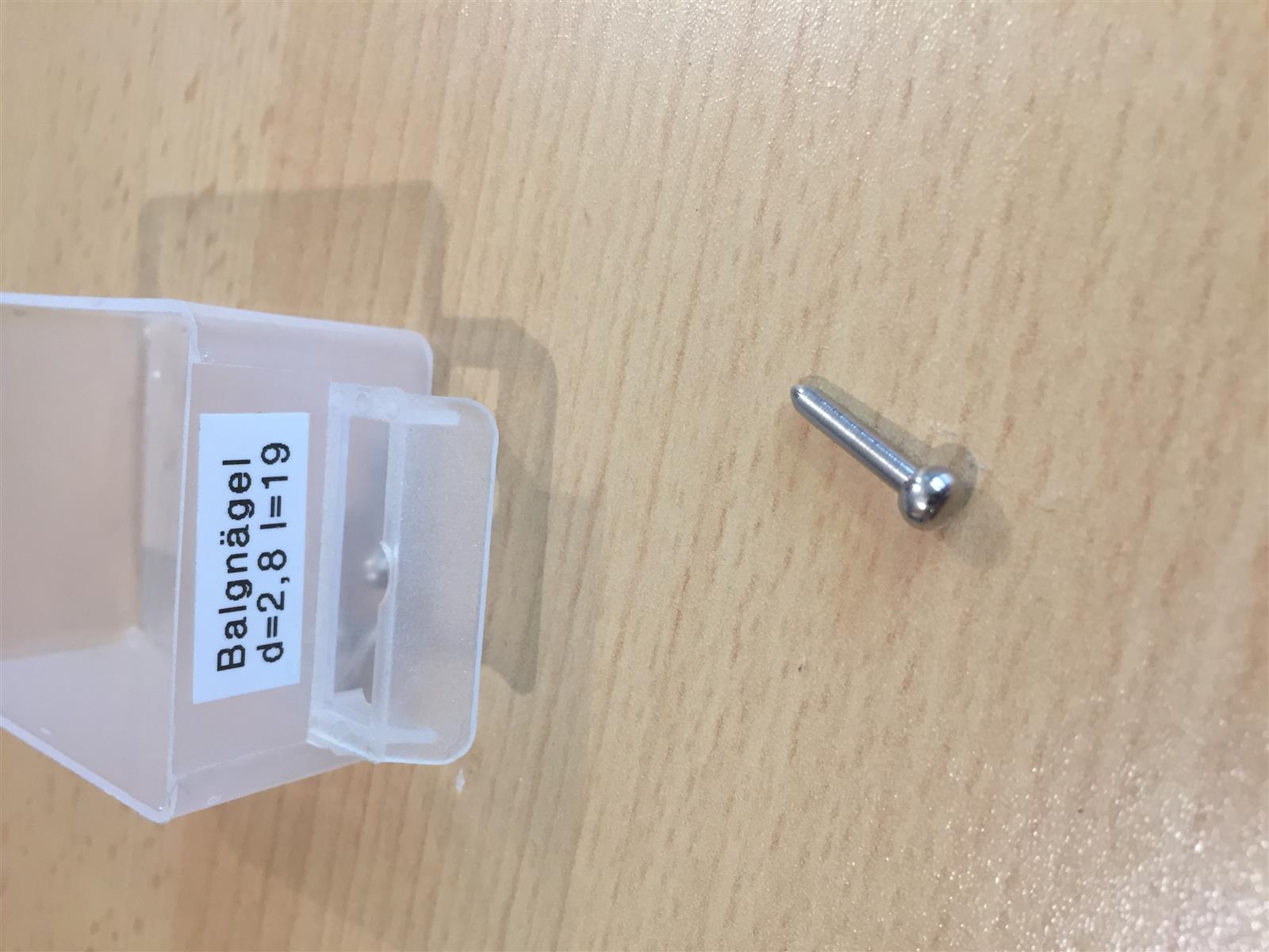 Balgnagel Kugelkopf 2,8x19mm vernickelt Balgnagel Kugelkopf 2,8x19mm vernickelt