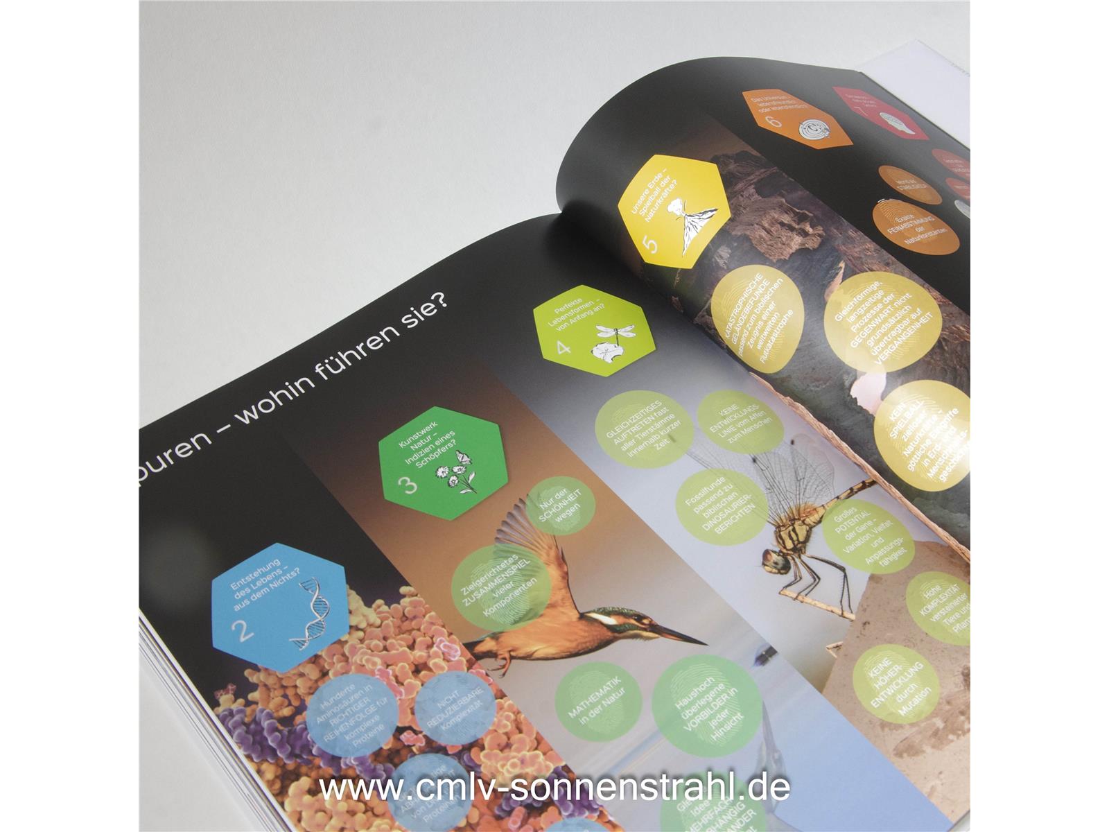 Auf den Spuren des Unsichtbaren Auf den Spuren des Unsichtbaren