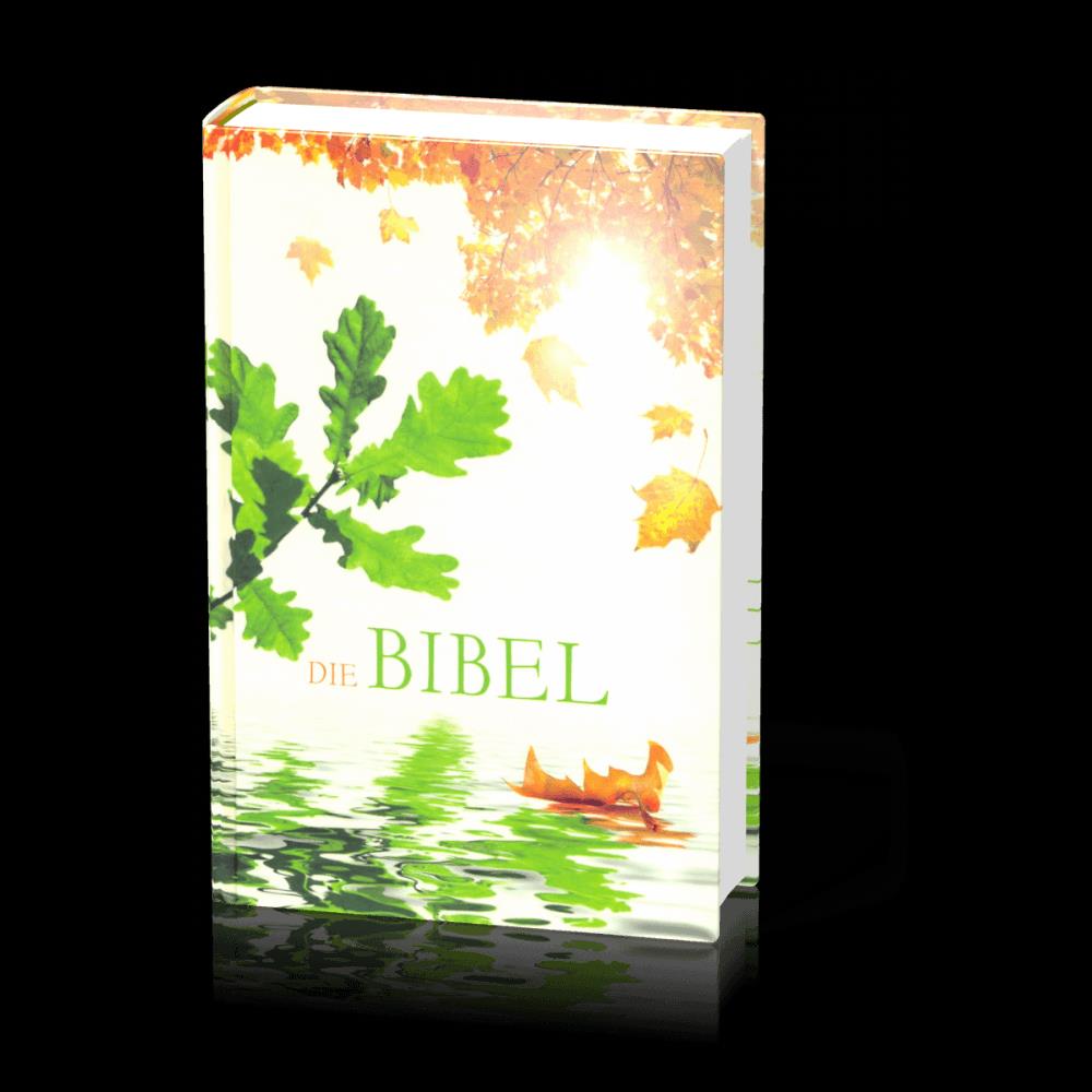 Schlachter 2000 TA o. P. (Hardcover, Blätter) - Abverkauf Schlachter 2000 TA o. P. (Hardcover, Blätter) - Abverkauf