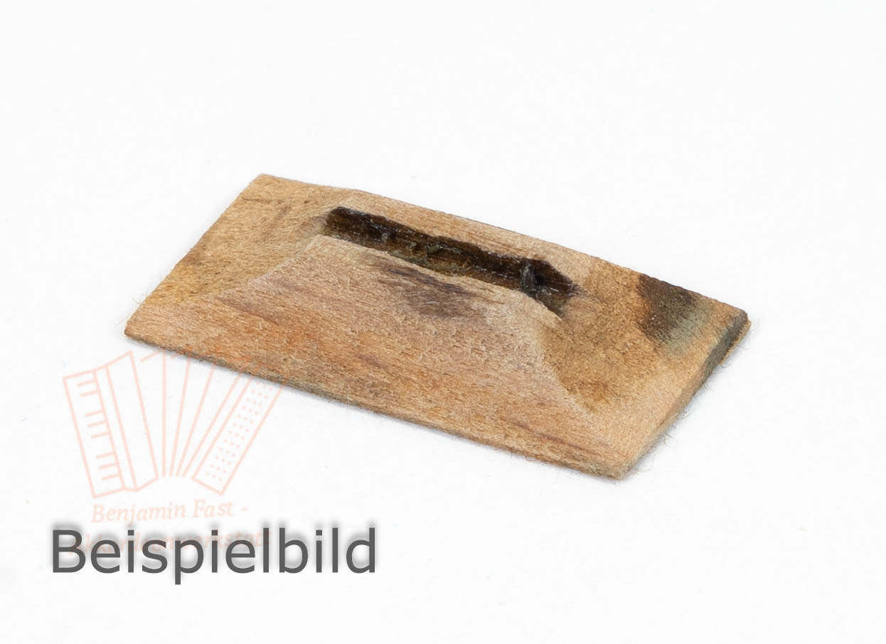 Klappe Holz 31x15