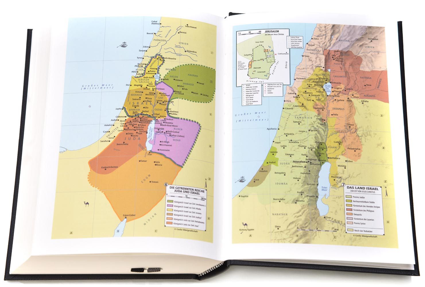 Schlachter 2000 TA + P schwarz