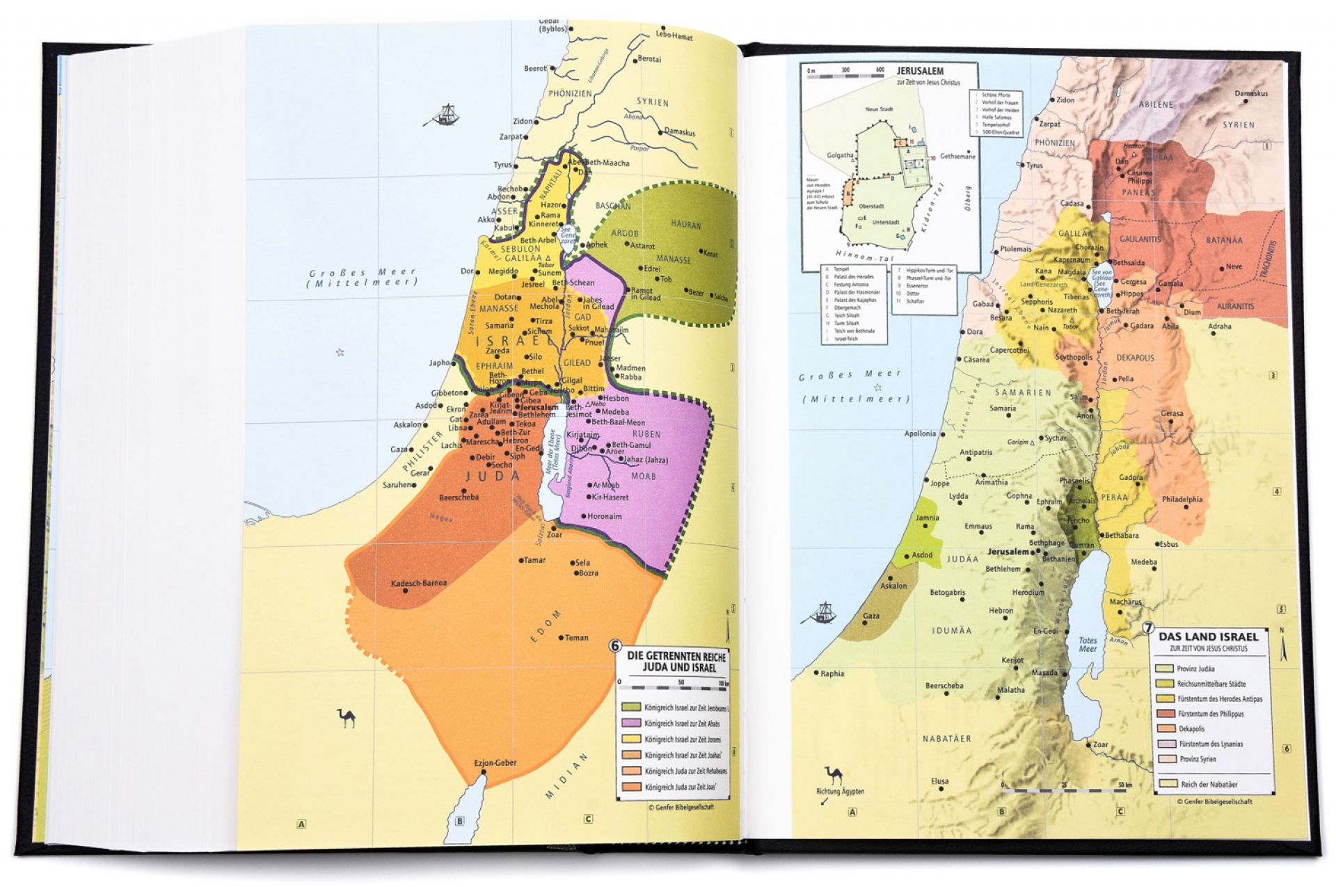 Schlachter Bibel 2000 Großdruck Hardcover, schwarz