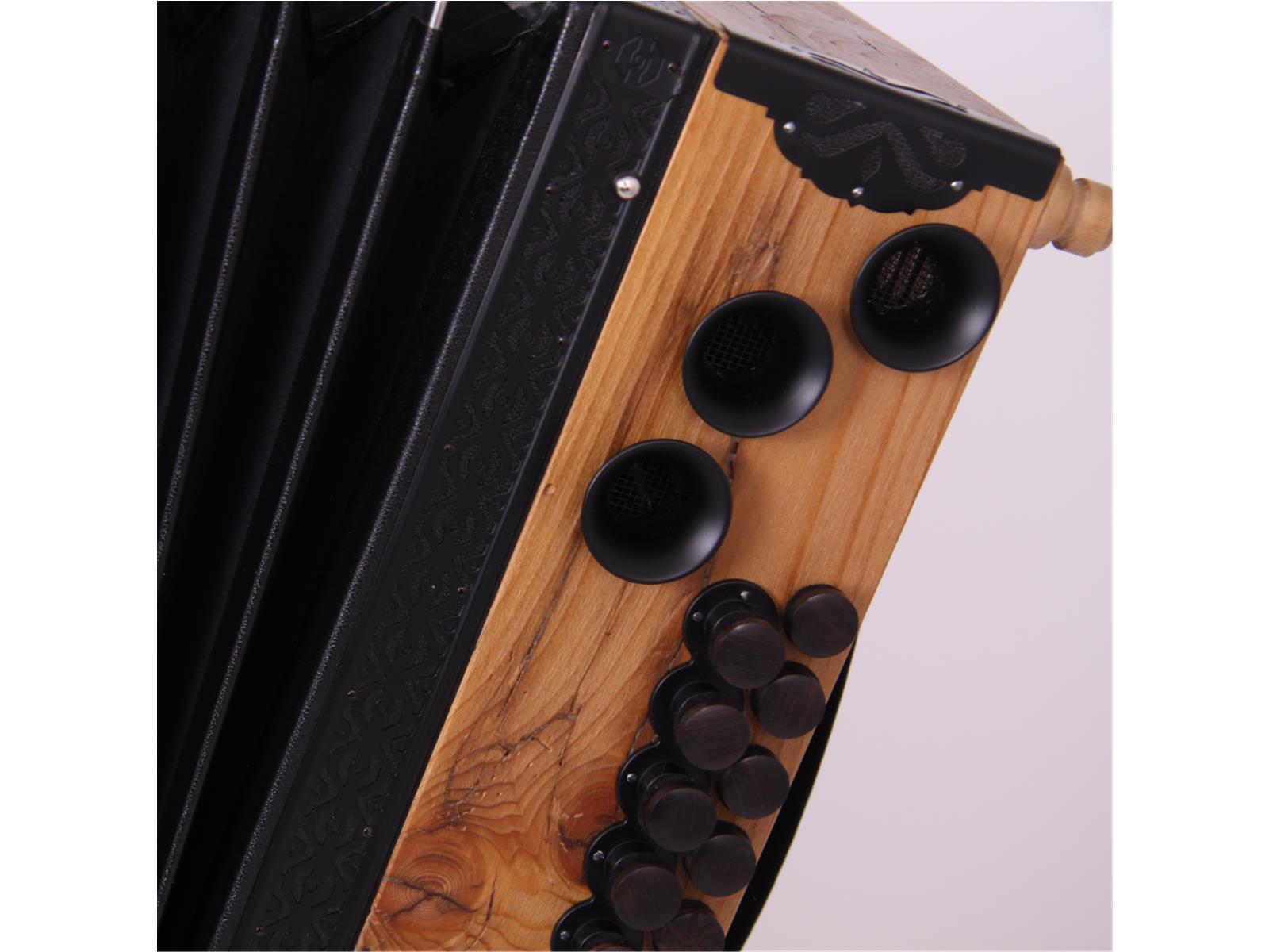 Steirische Harmonika Kärntnerland (Gold) Gipfelstürmer C/F/Bb/Eb