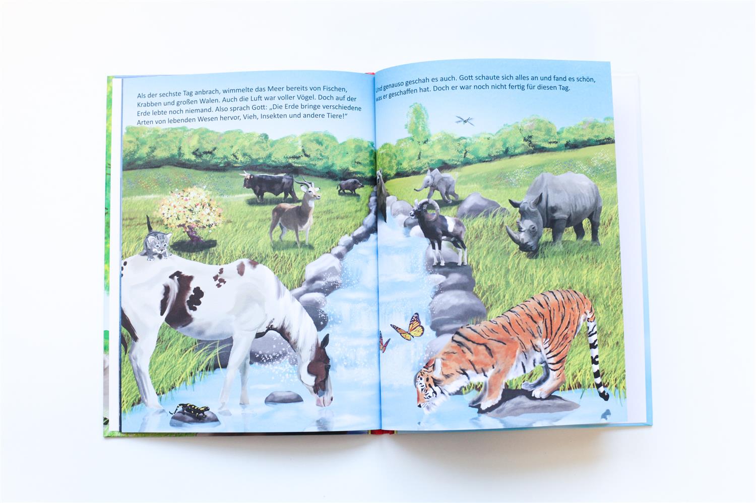 Wie alles begann Wie alles begann