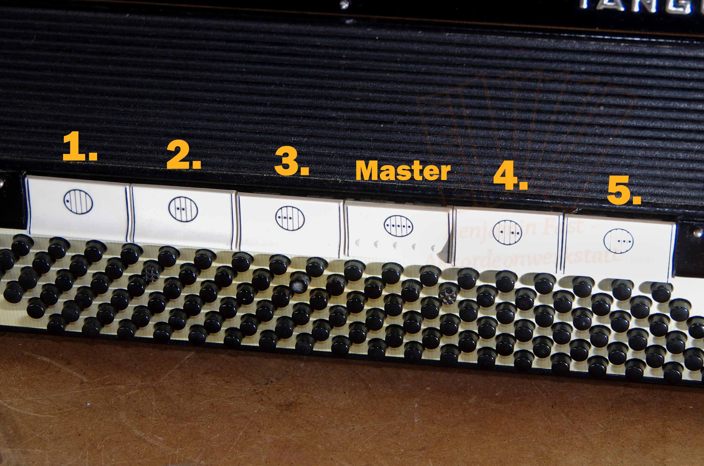 Registerdrücker Bass Hohner weiß einzeln, gebraucht Variante 5