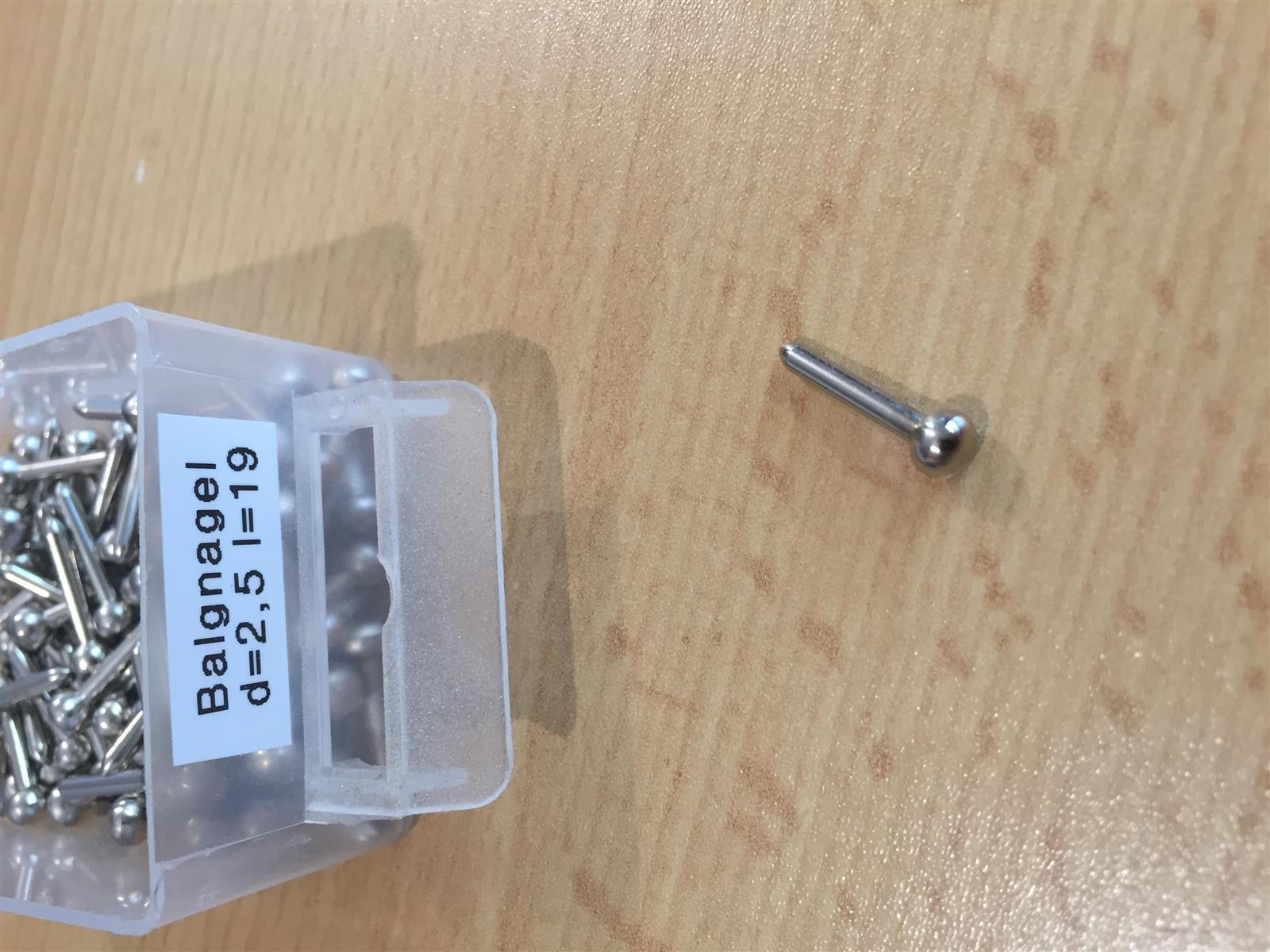 Balgnagel Kugelkopf 2,5x19 mm verchromt Balgnagel Kugelkopf 2,5x19 mm verchromt